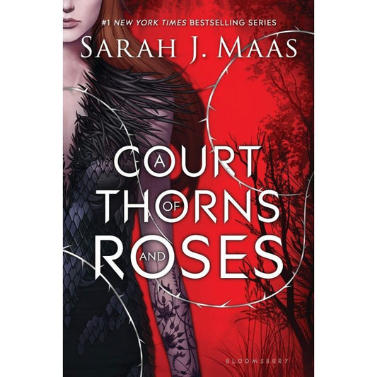 A Court of Thorns and Roses book 1 by sarah j maas