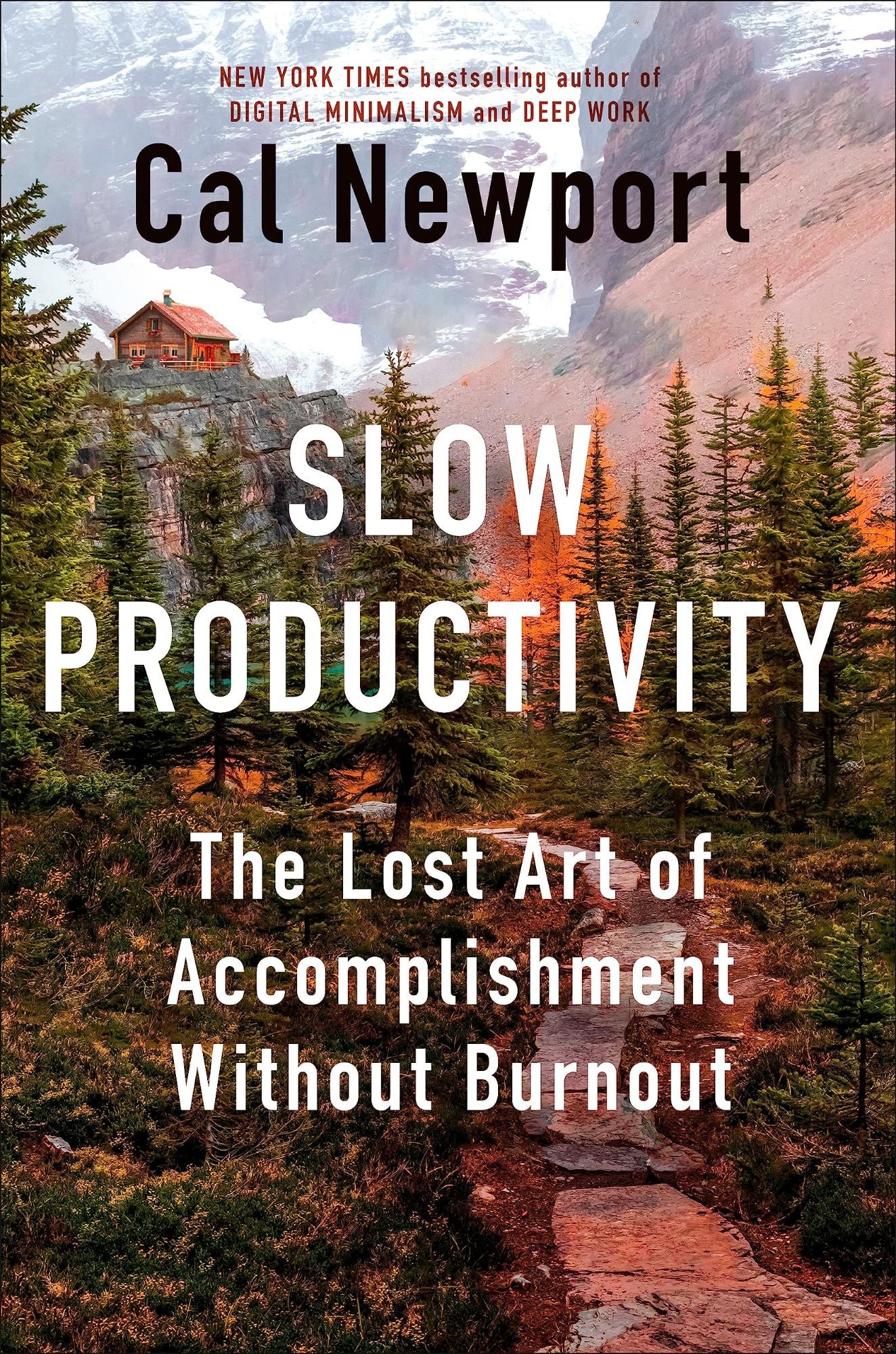 Slow Productivity: The Lost Art of Accomplishment Without Burnout book by Cal Newport