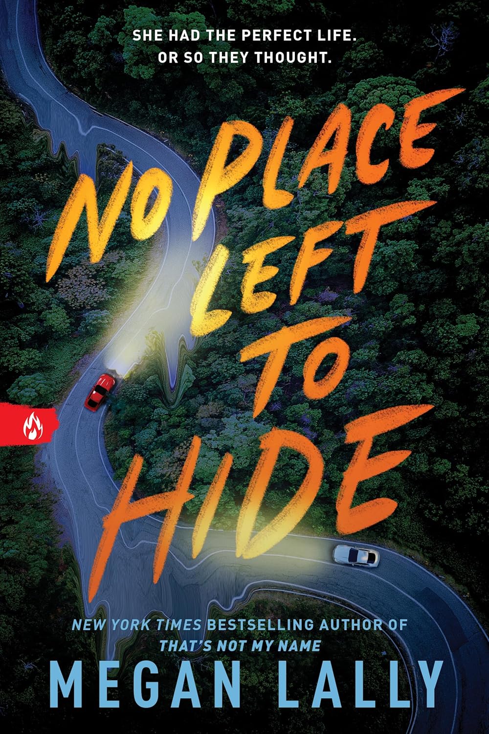 No Place Left to Hide
Book by Megan Lally