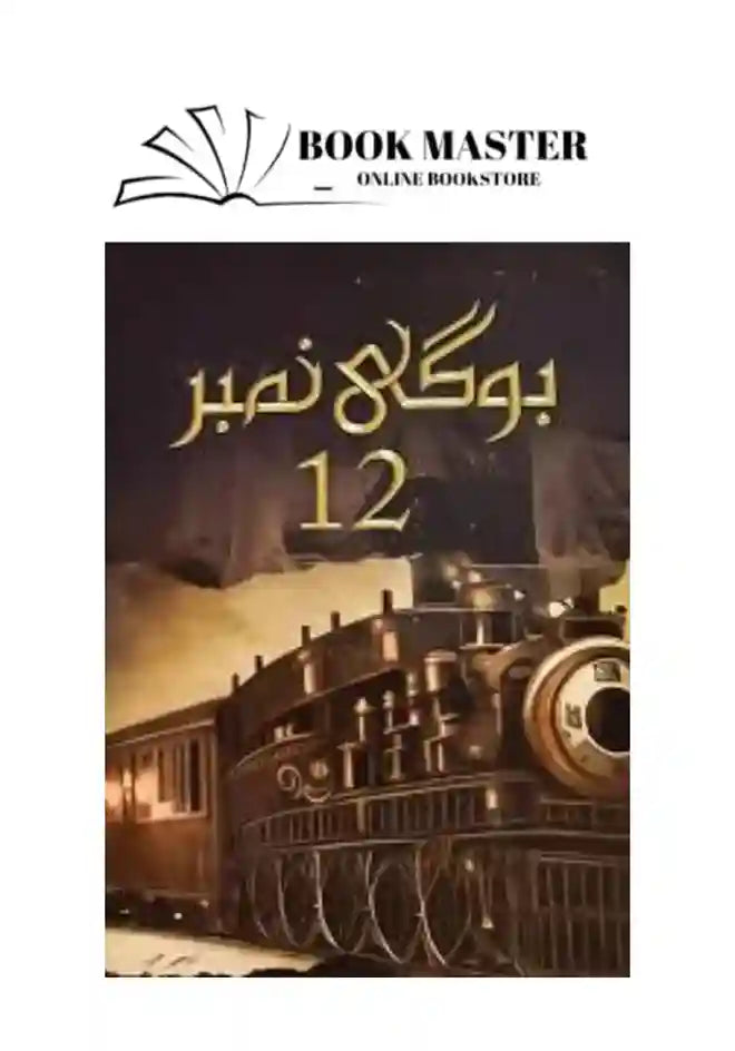 bogi number 12 novel by mehrunnisa shahmeer